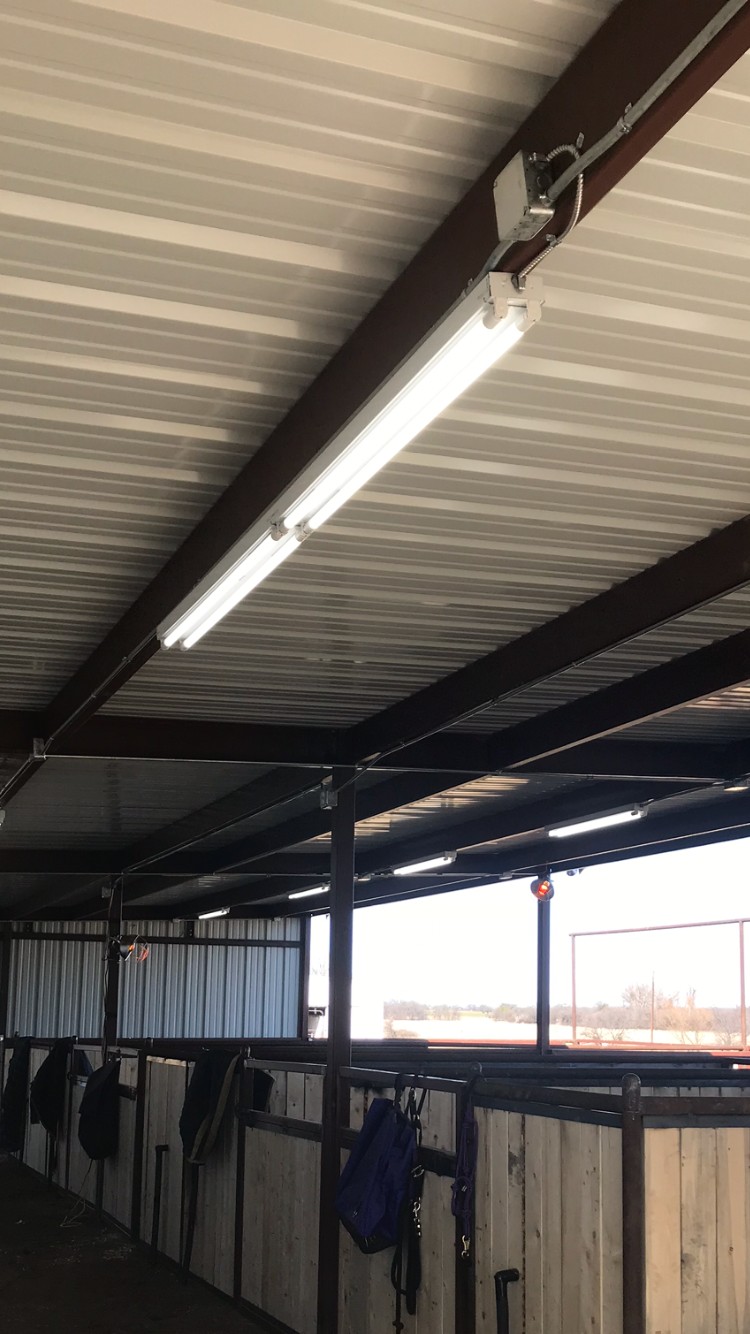 New lighting fixtures installed in an agricultural building